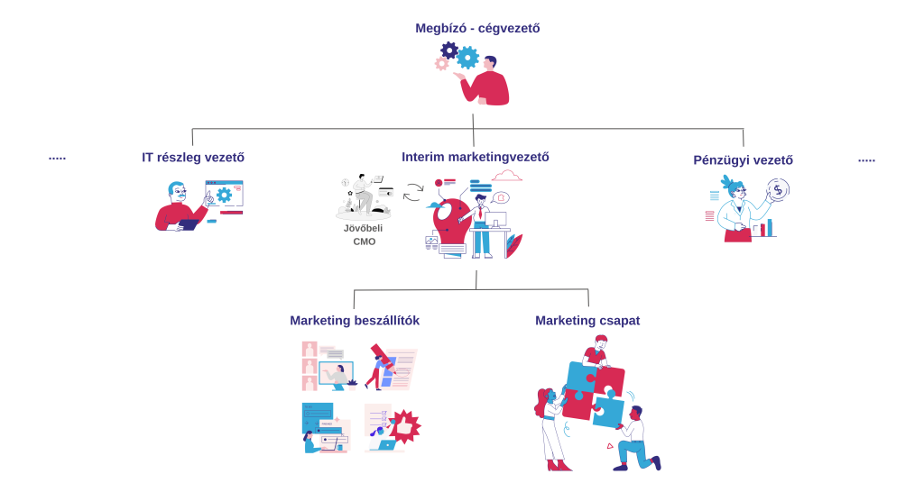 CMO helye a szervezetben