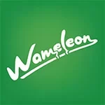 Wameleon-Karson-Consulting